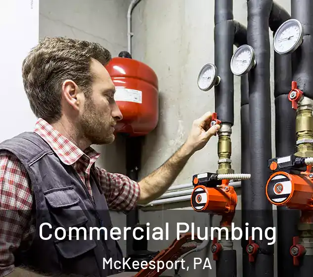  Commercial Plumbing McKeesport, PA
