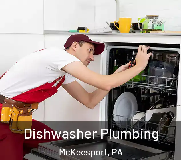  Dishwasher Plumbing McKeesport, PA