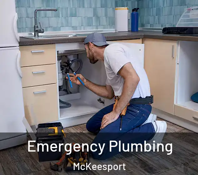  Emergency Plumbing McKeesport