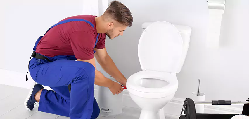 Scope of Bathroom Toilet Bowl Replacement Services in McKeesport, PA