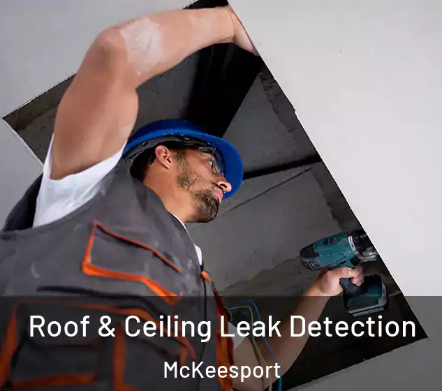  Roof & Ceiling Leak Detection McKeesport