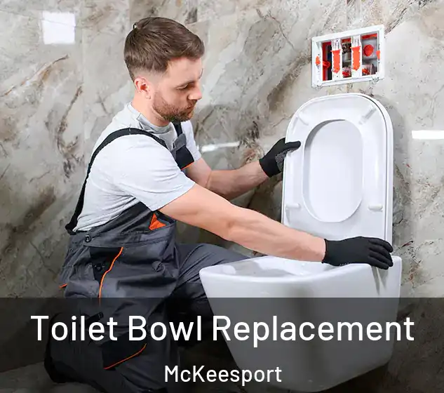  Toilet Bowl Replacement McKeesport
