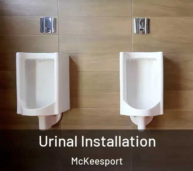  Urinal Installation McKeesport