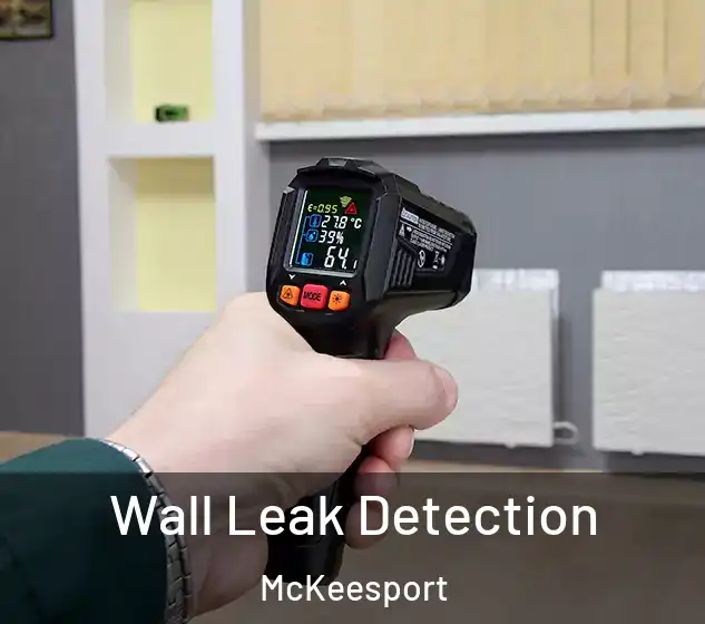  Wall Leak Detection McKeesport