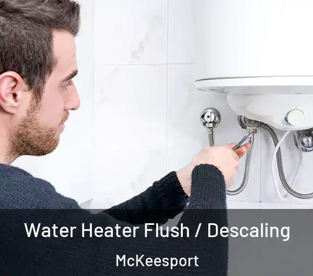  Water Heater Flush / Descaling McKeesport