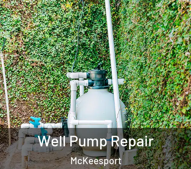  Well Pump Repair McKeesport
