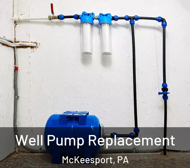  Well Pump Replacement McKeesport, PA